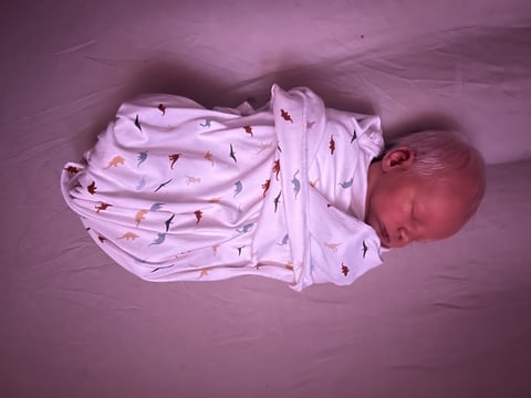 Brooks Matthew Photo