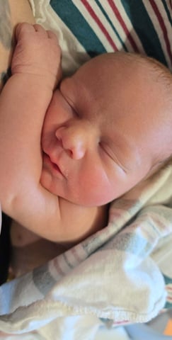 Enzo Lee Photo