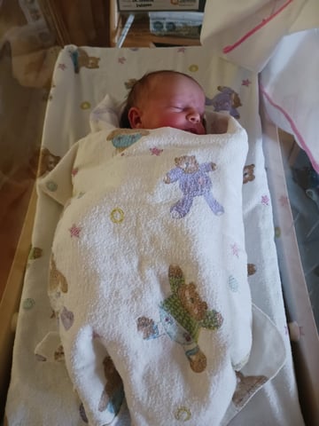 Avery Lee Photo