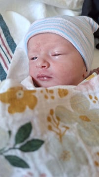 Emilia Deann Photo