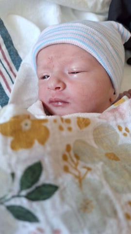 Emilia Deann Photo