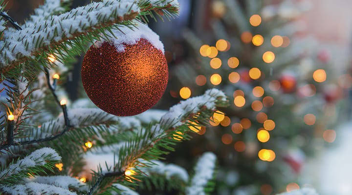 fundraising_events-season_of_lights