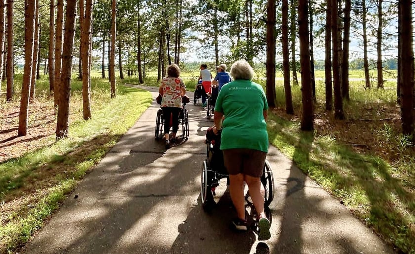 group-walking-and-pushing-wheelchairs-on-paved-trail-through-pine-forest